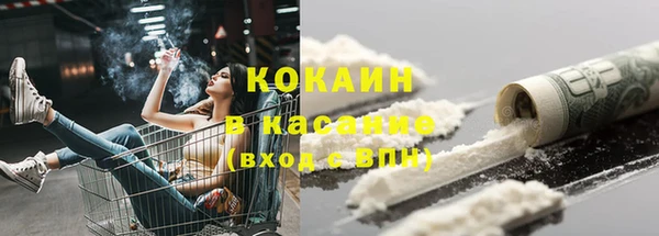 трава Аркадак