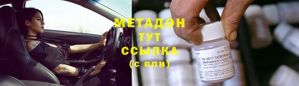 трава Аркадак