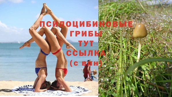 мдпв Арсеньев