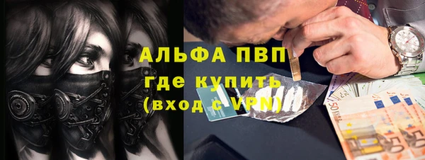 трава Аркадак