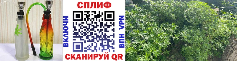 маркетплейс Telegram  Приволжск  Бошки марихуана LSD WEED 